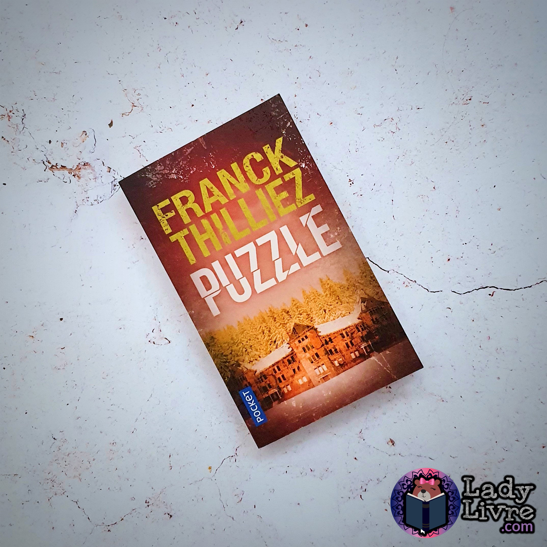 Puzzle - Franck Thilliez