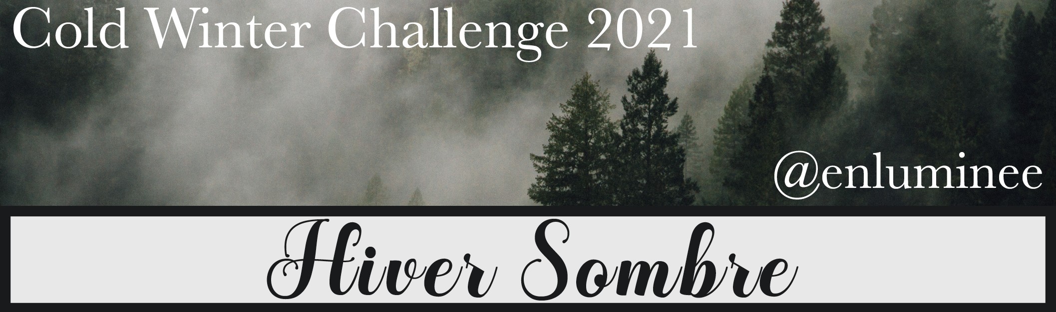 Cold Winter Challenge 2021 - Hiver Sombre
