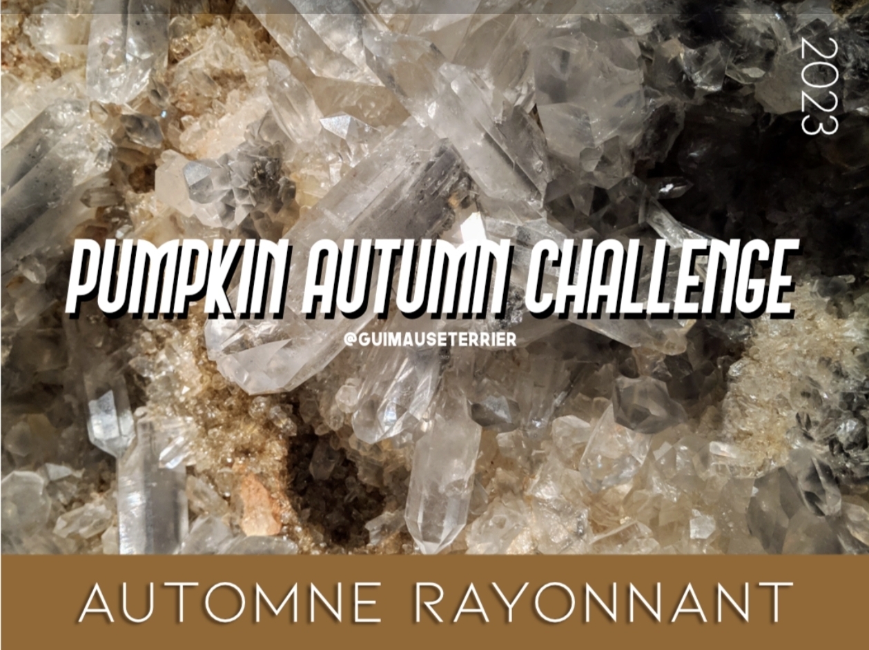 Pumpkin Autumn Challenge - Automne rayonnant