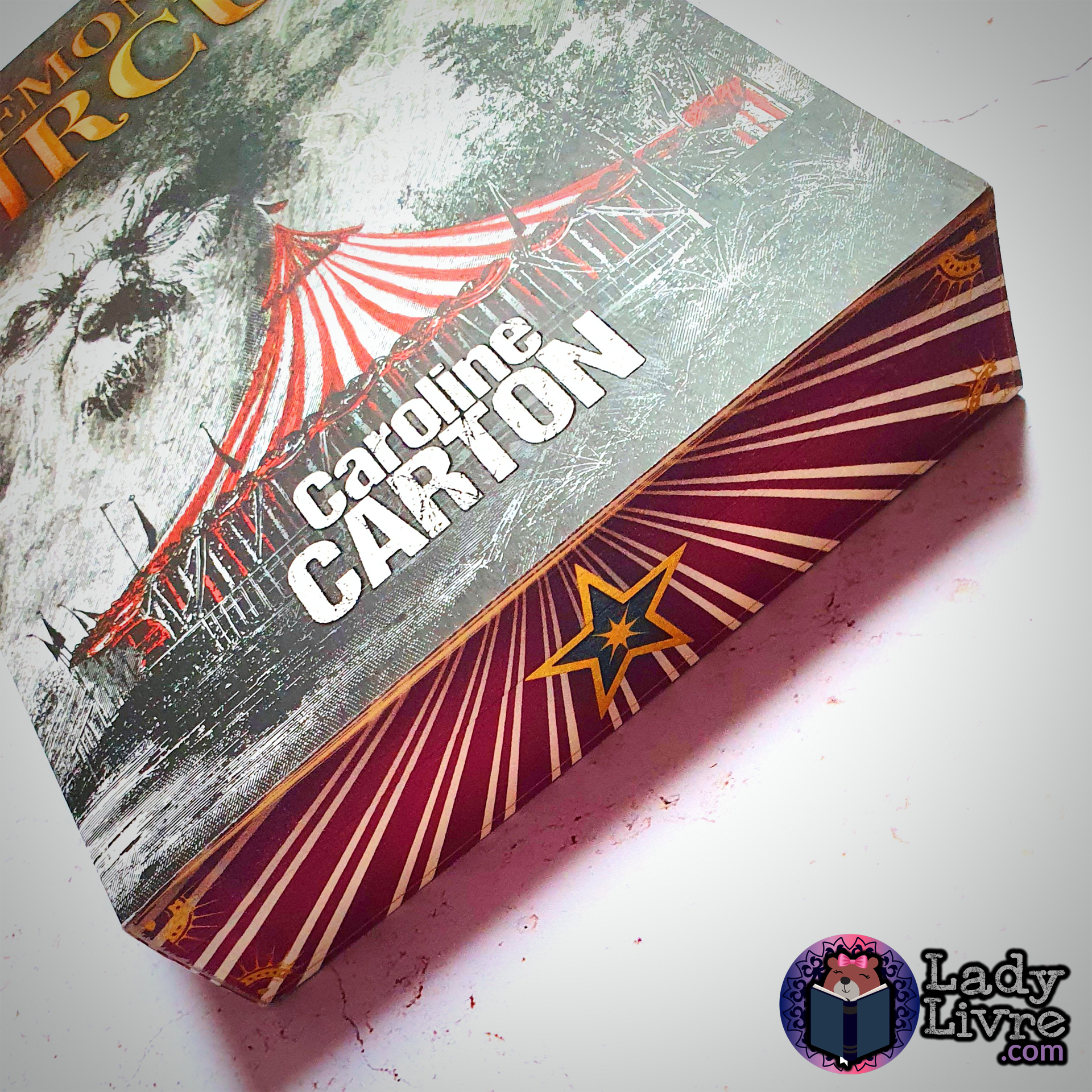 Daemonium Circus - Caroline Carton (détail jaspage 1)