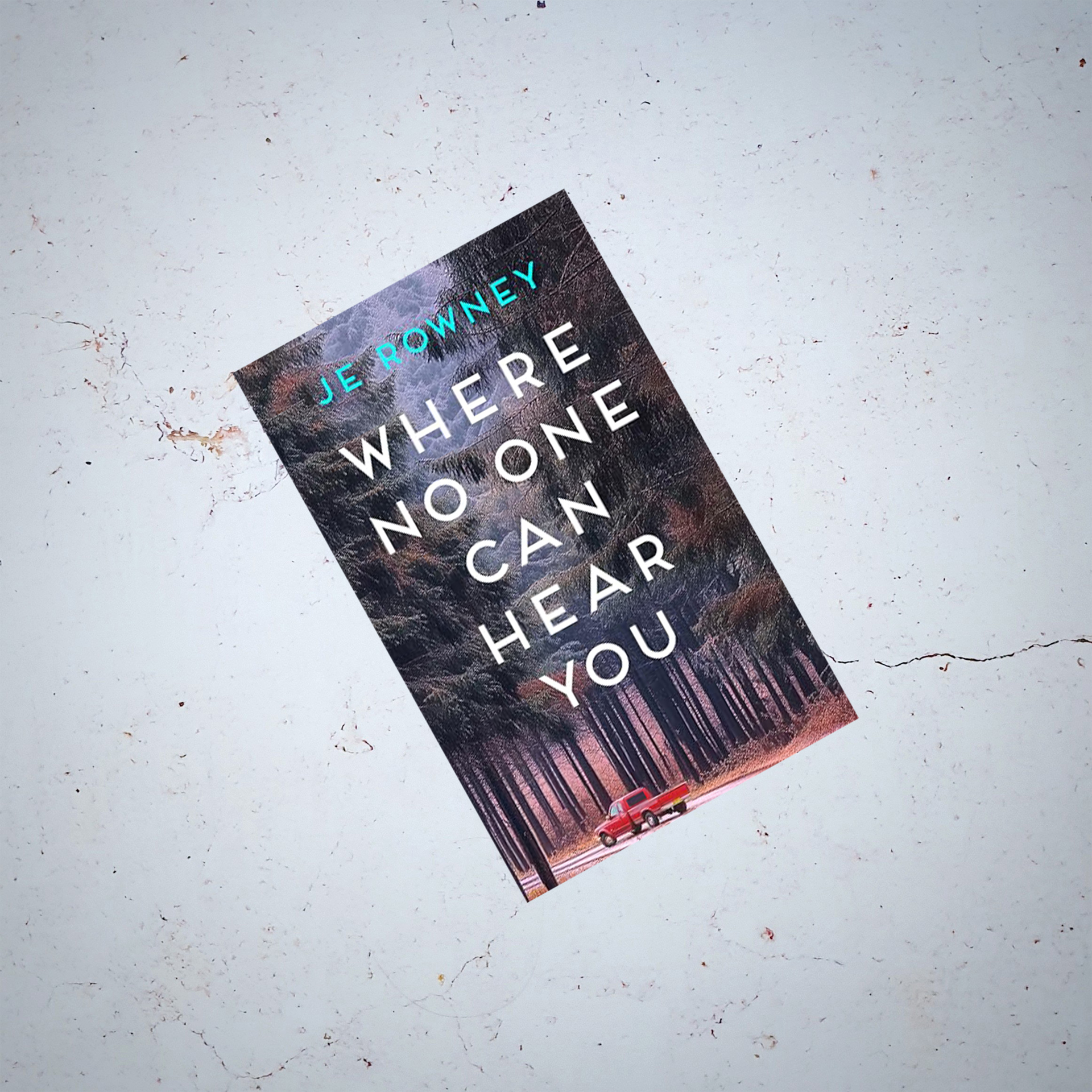 Where no one can hear you - JE Rowney