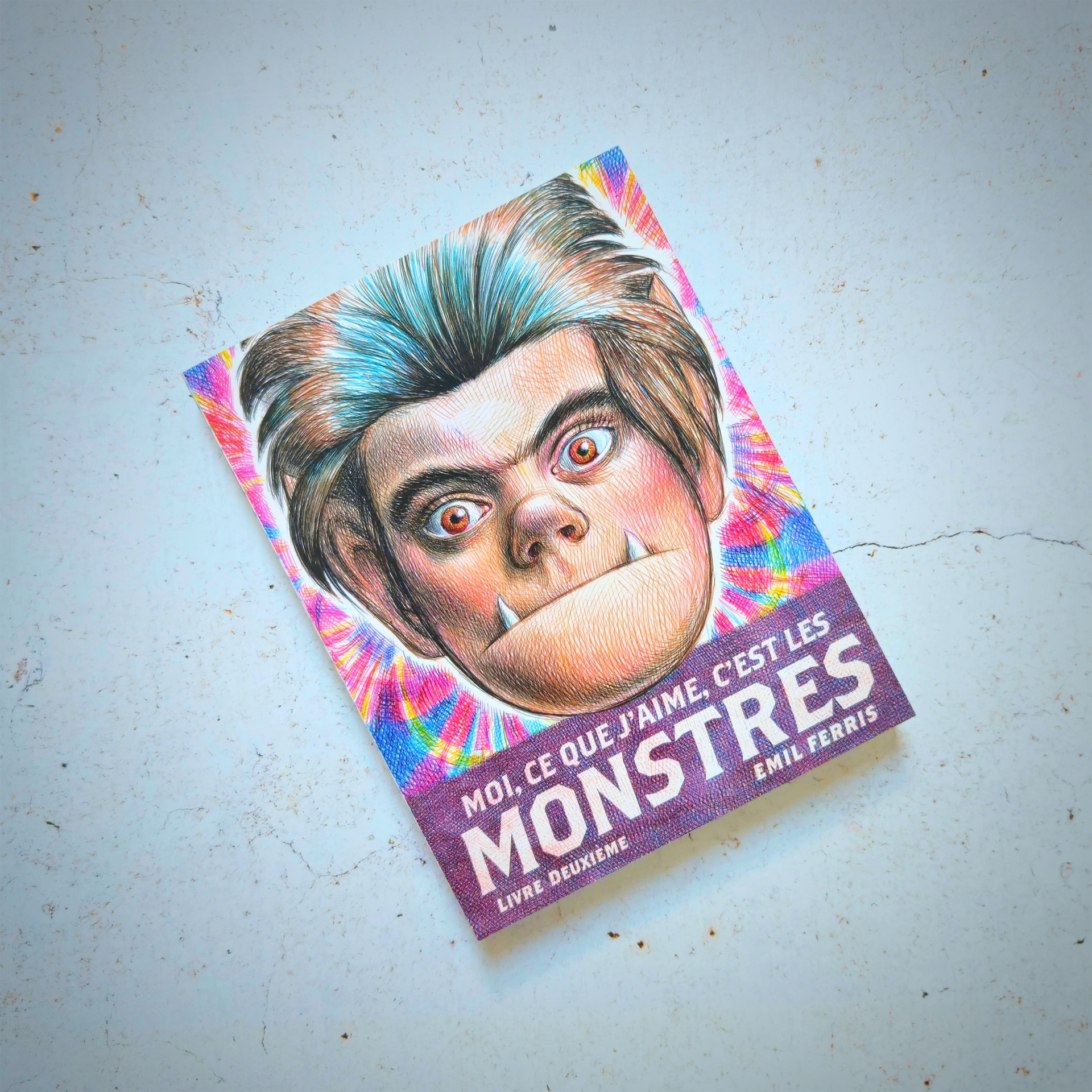 Moi, ce que j'aime, c'est les monstres 2 - Emil Ferris