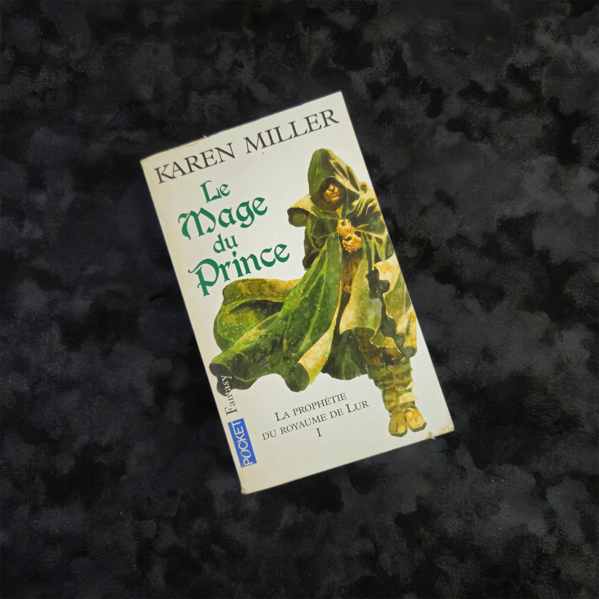 La Prophétie du Royaume de Lur 1 - Le Mage du Prince - Karen Miller