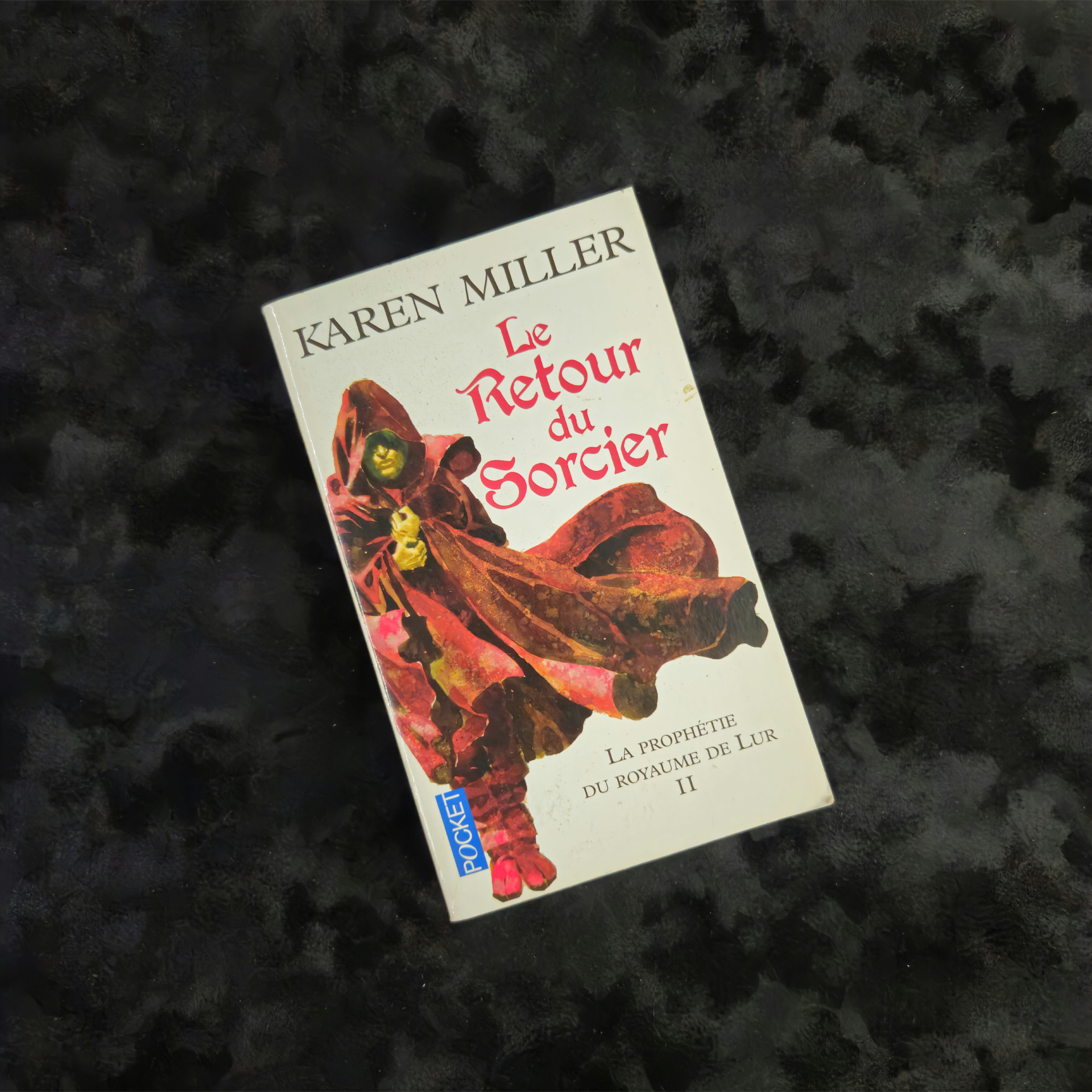 La Prophétie du Royaume de Lur 2 - Le Retour du Sorcier - Karen Miller