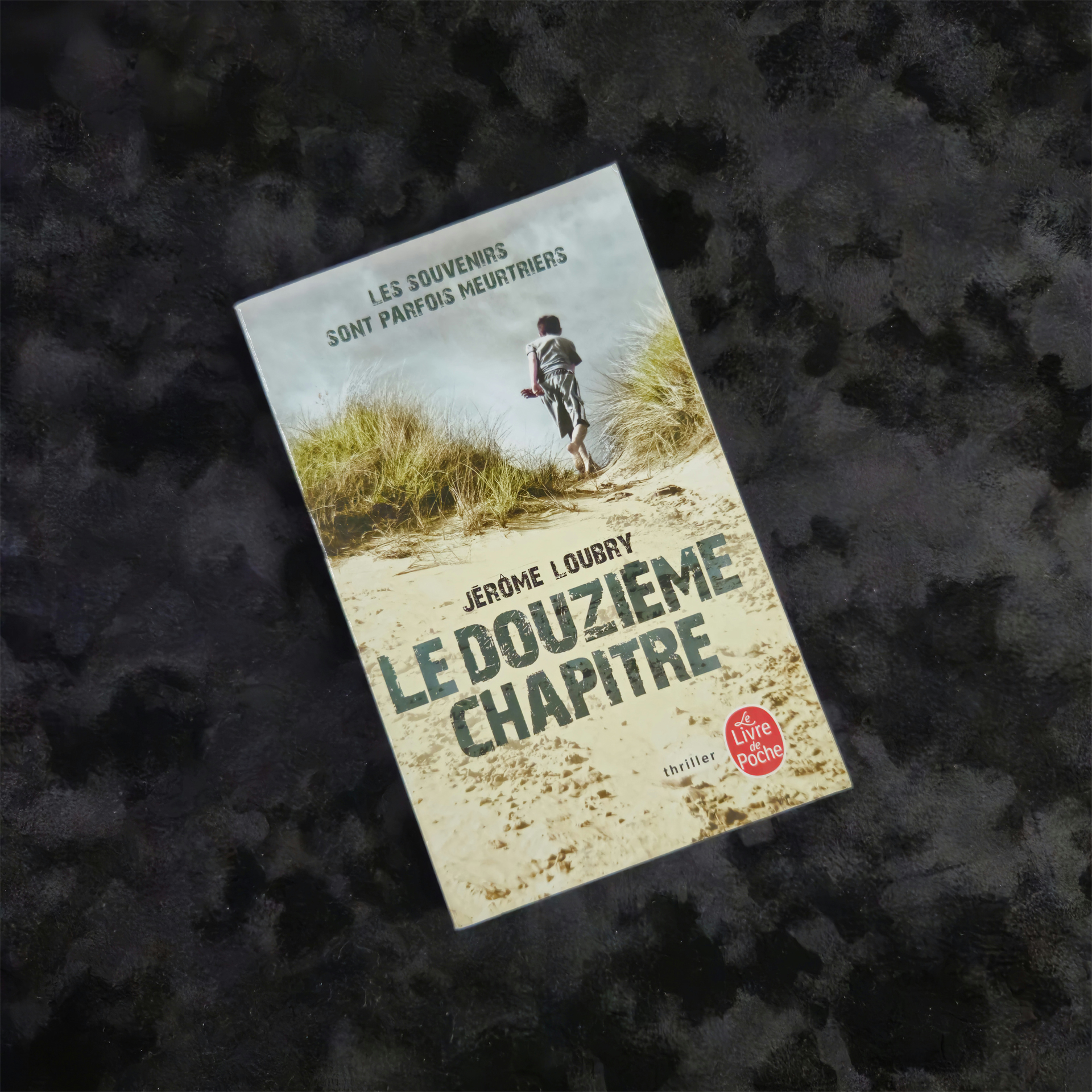 Les refuges - Jérôme Loubry