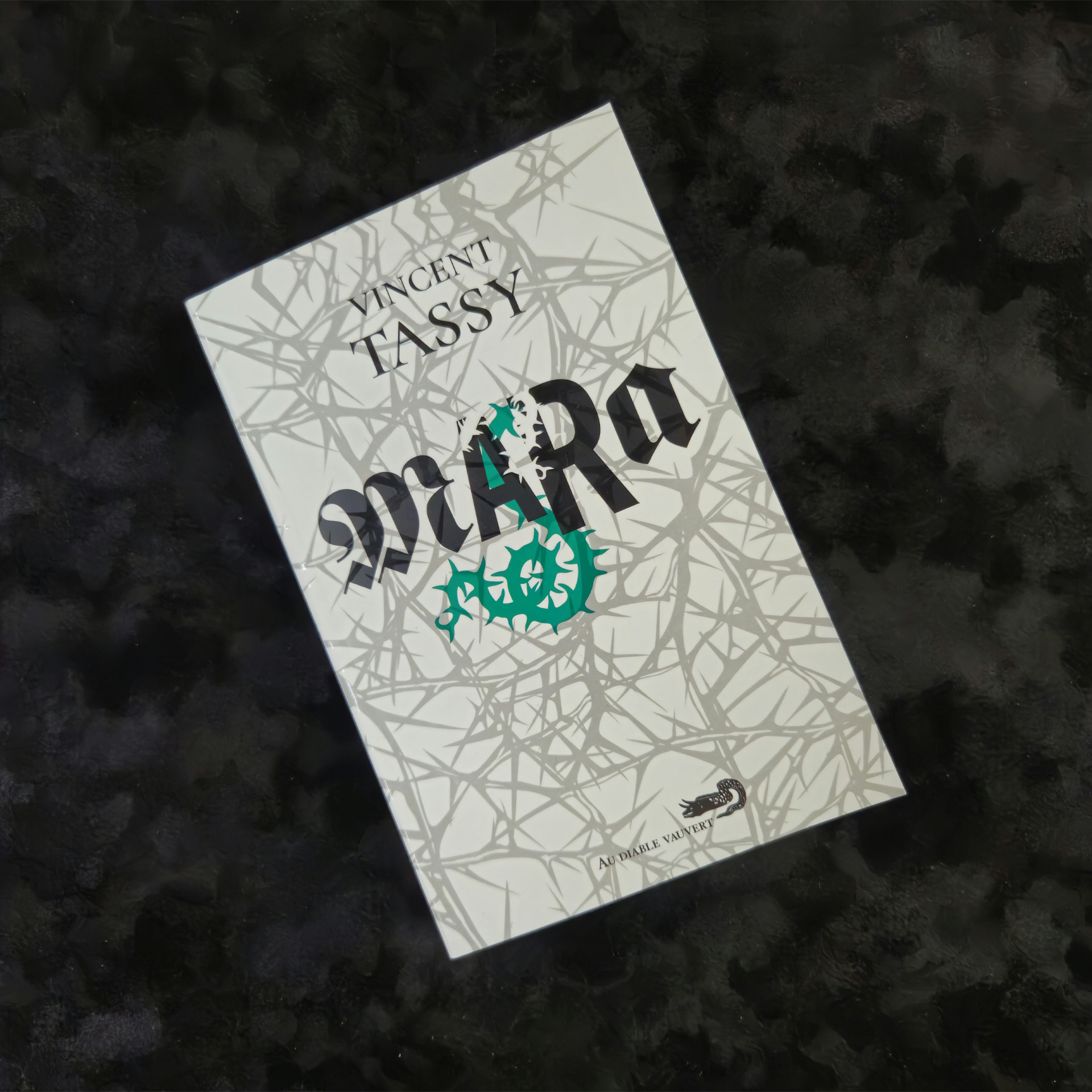 Mara - Vincent Tassy