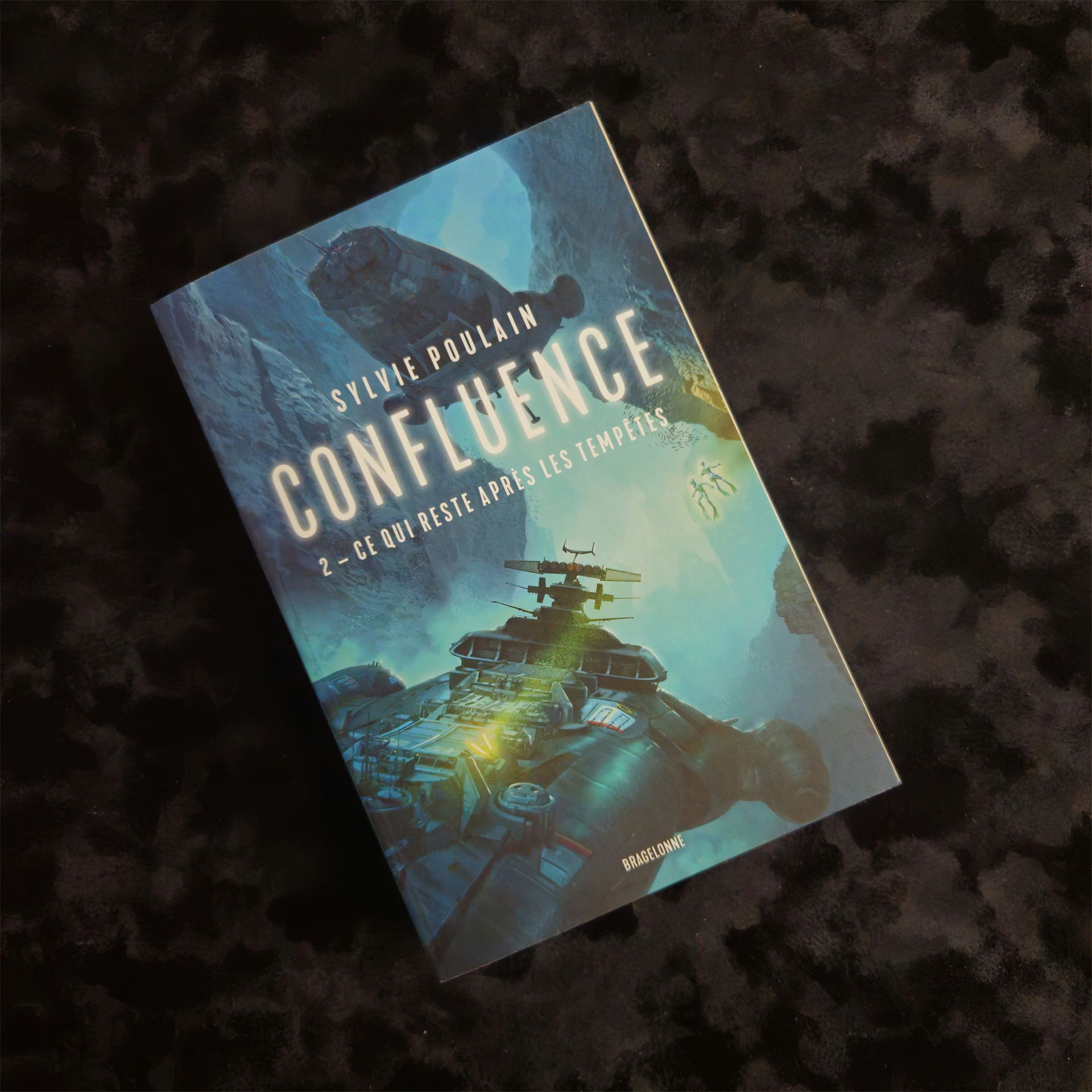 Confluence 2 : Ce qui reste après les tempêtes - Sylvie Poulain